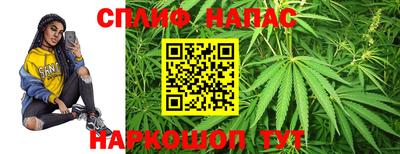 МДПВ Ливны
