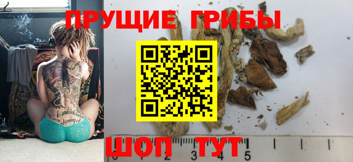 Унеча  Галлюциногенные грибы MAGIC MUSHROOMS  Вход с VPN 